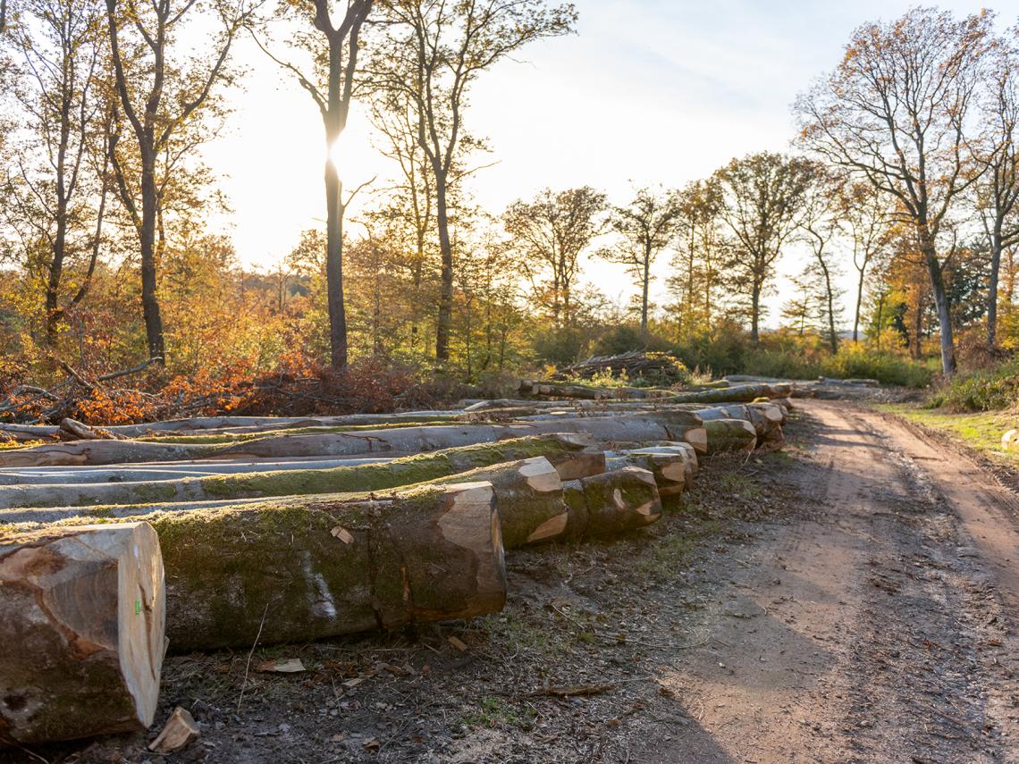Des meubles en bois fran&ccedil;ais